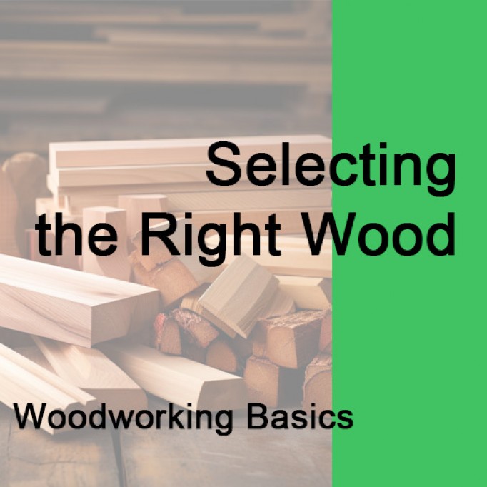 Woodworking Basics: Selecting the Right Wood for Your Project