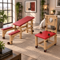 Adjustable BDSM Furniture & Bondage Chair Plans Bundle, 2 DIY Adult Furniture Projects, PDF Digital Download Adjustable BDSM Furniture & Bondage Chair Plans Bundle, 2 DIY Adult Furniture Projects, PDF Digital Download