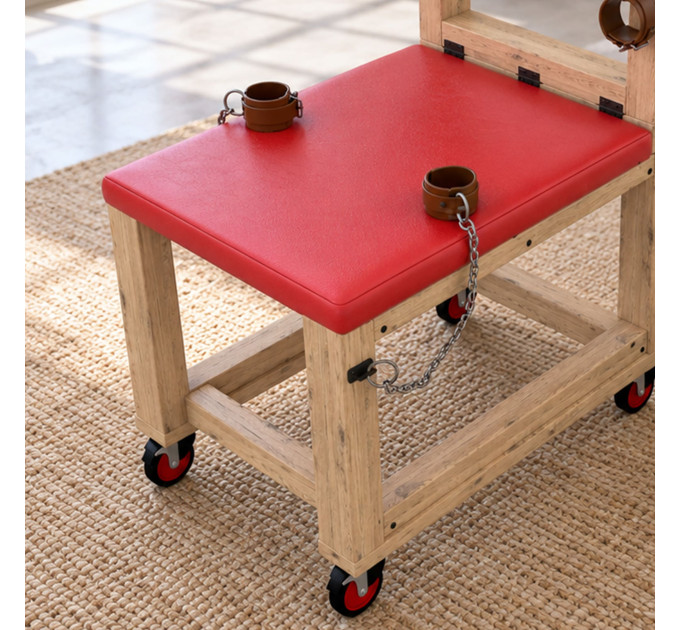 Explore Our Selection of BDSM Hidden Furniture, Adult Furniture, and Sex Benches