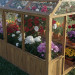 Build Your Own 8x16 Greenhouse – DIY Framed Plans (Digital Download)