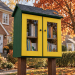 DIY project. Outdoor Library Neighborhood Community Shared Loan  Blessing Box Little Free Pantry Street Sidewalk - Digital Download Only