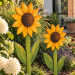 Giant Wooden Sunflower DIY Plans – Modern Outdoor Garden Sculpture & Yard Decor