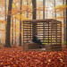 Patio plan, shelter plan, covered shelter, outdoor house, pavilion plan, modern pergola - Digital Download Only