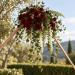 Building plans wedding arch, DIY A-frame wedding arbor, backdrop stand, wedding backdrop - Digital Download Only